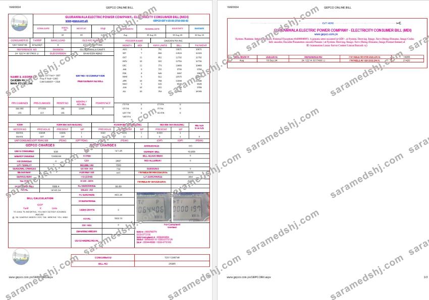 Pakistan Gujanwala electric power company electricity business utility bill Word and PDF formats, 2 pages